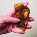 Пастилапка з печінкою та морквою — 2