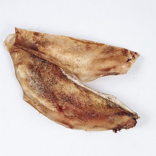 Лопатковий хрящ