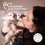 Підвішений смаколик для собак