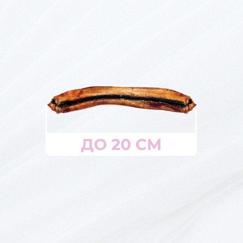 Бичачий жуй до 20см, 1 шт