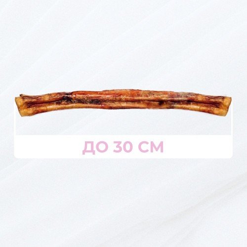 Бичачий жуй до 30см, 1шт