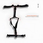 Анатомічна шлея Чорна — 3
